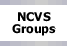 NCVS Groups